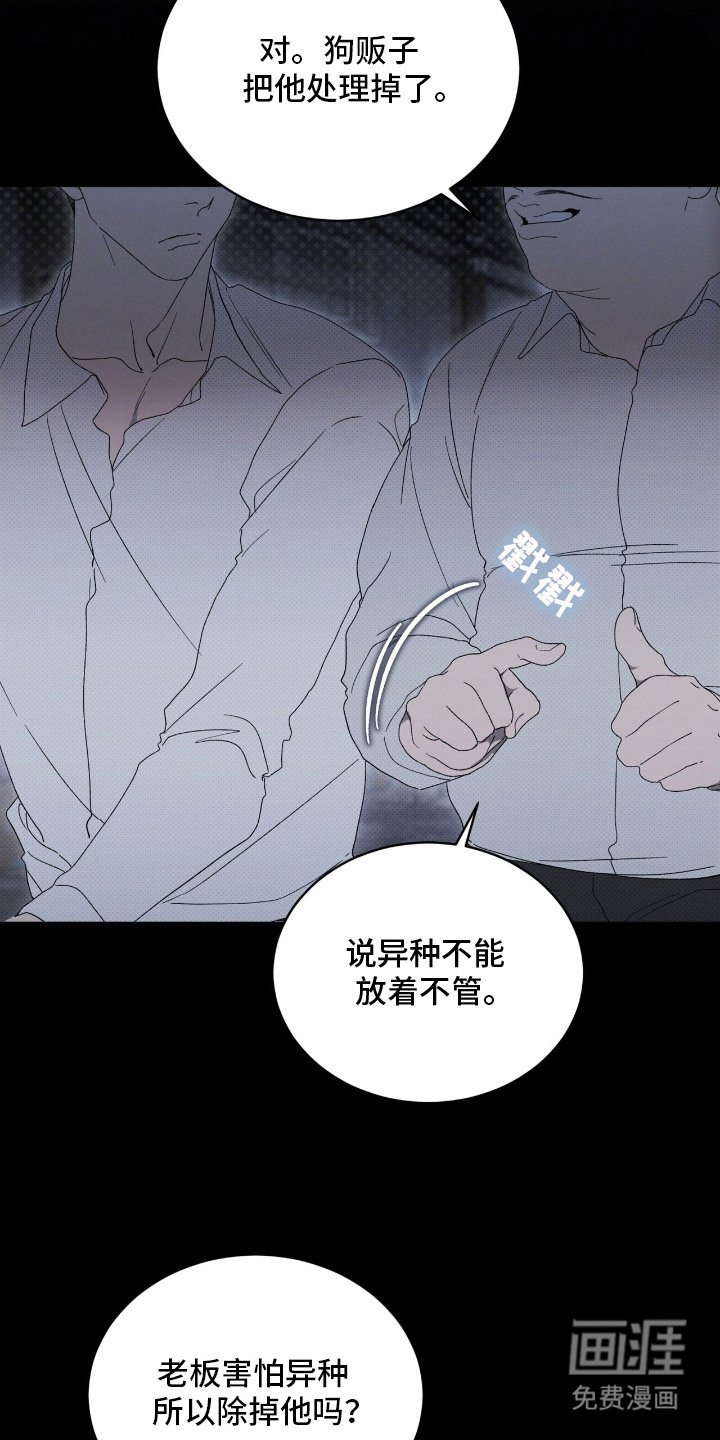 第5章：最后一次见面