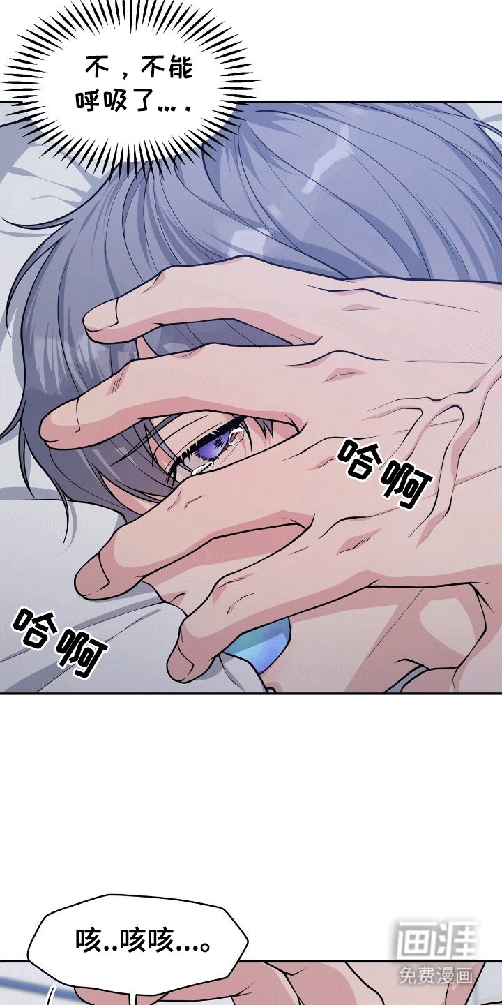 第4章：鲨鱼