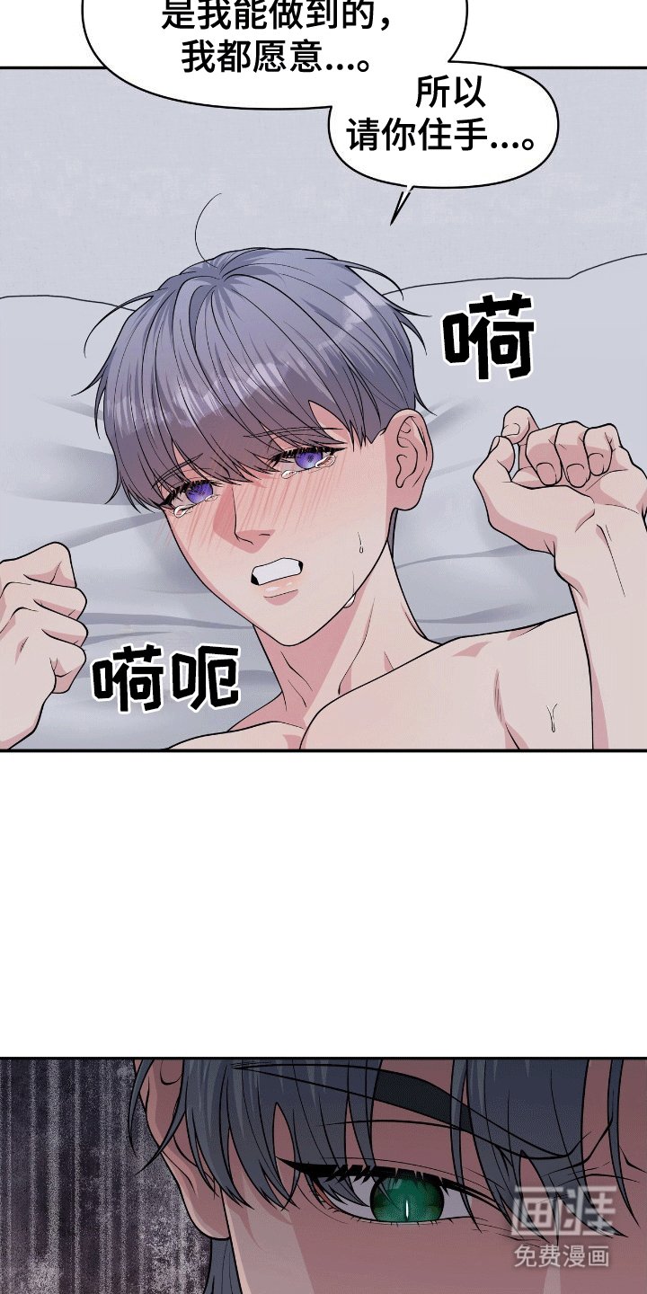 第4章：鲨鱼