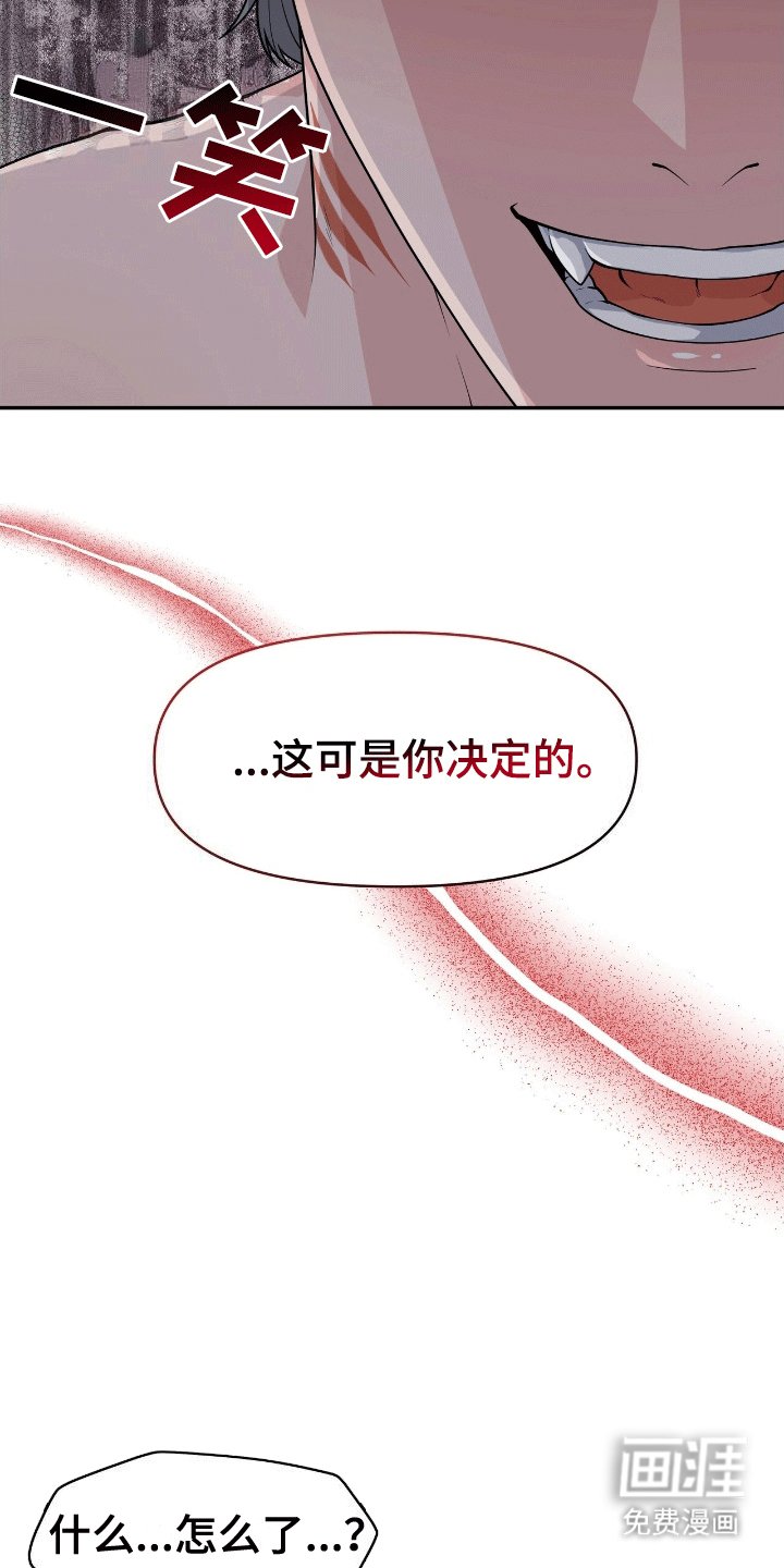 第4章：鲨鱼