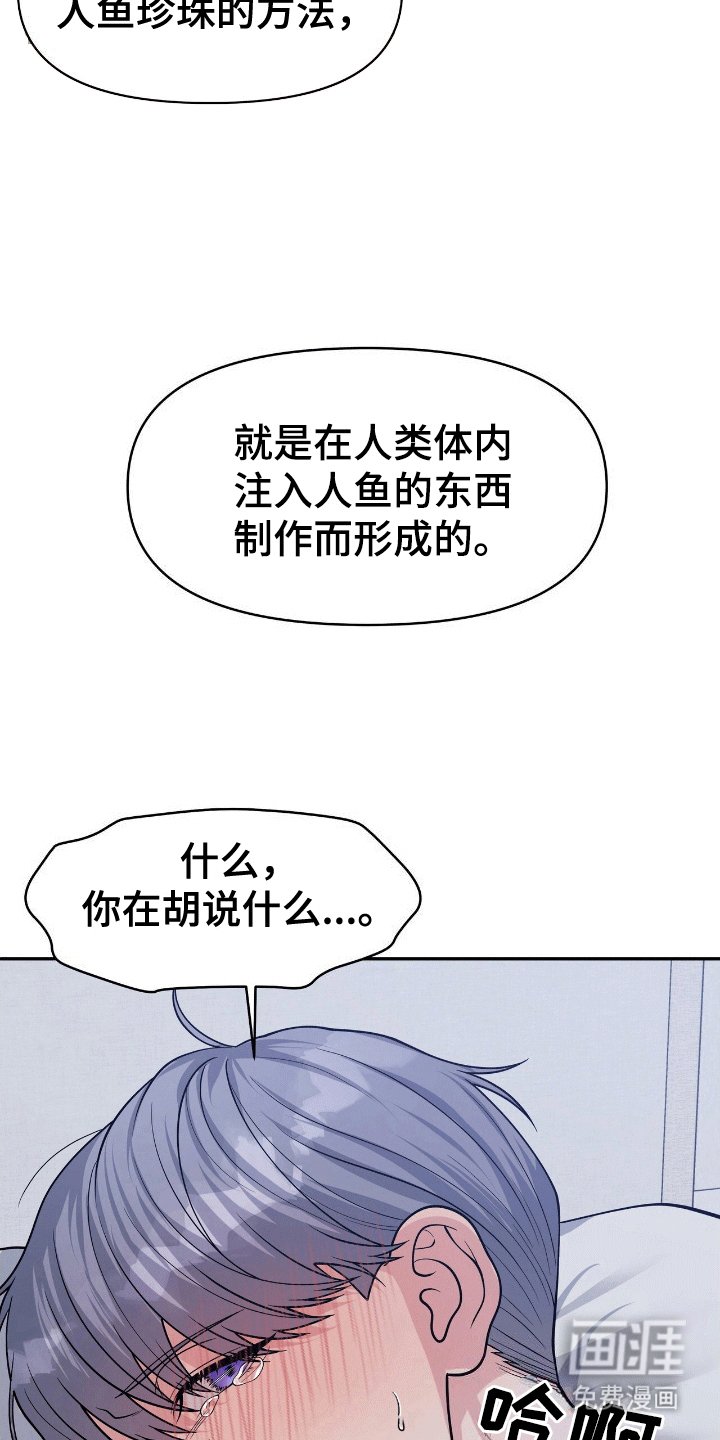 第4章：鲨鱼