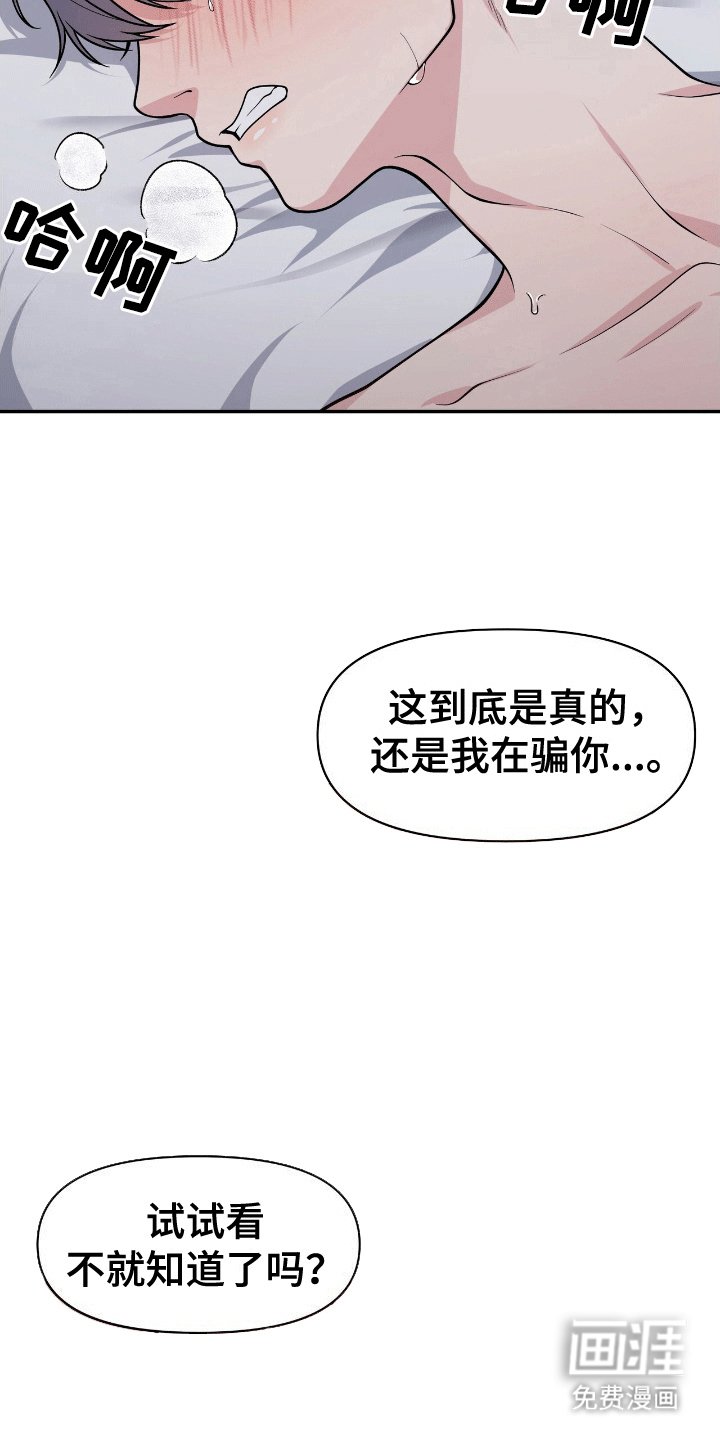 第4章：鲨鱼