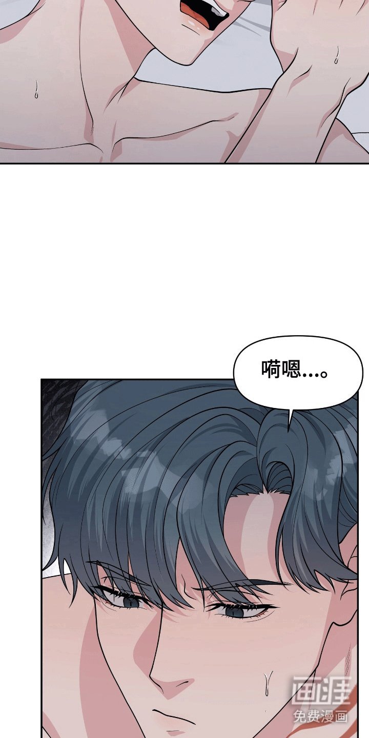 第4章：鲨鱼