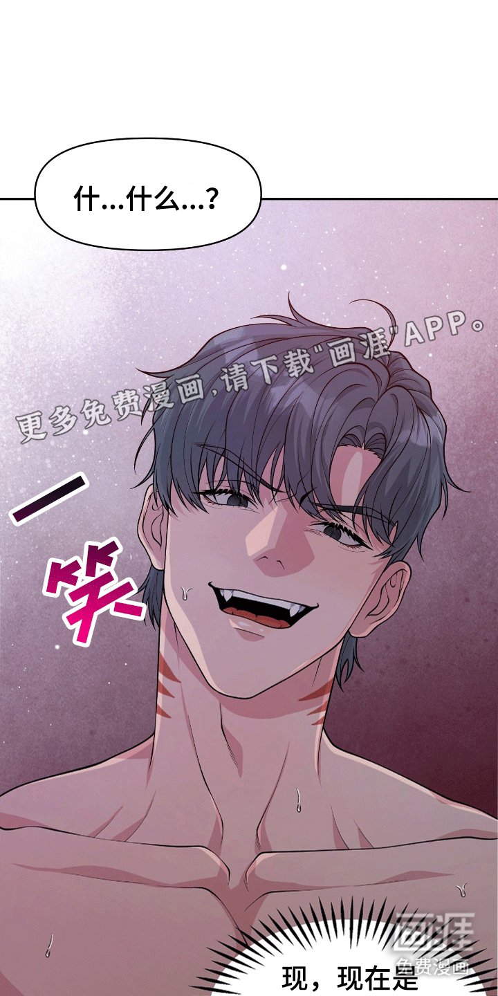 第4章：鲨鱼