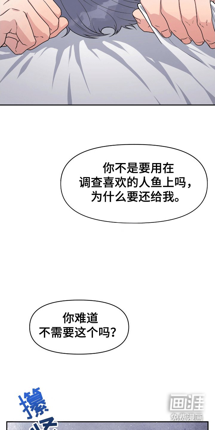 第4章：鲨鱼
