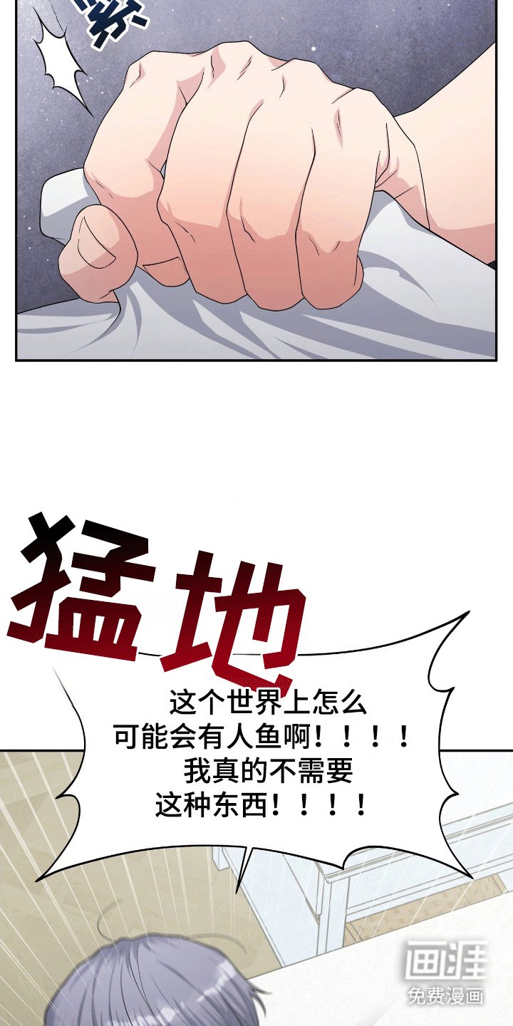 第4章：鲨鱼
