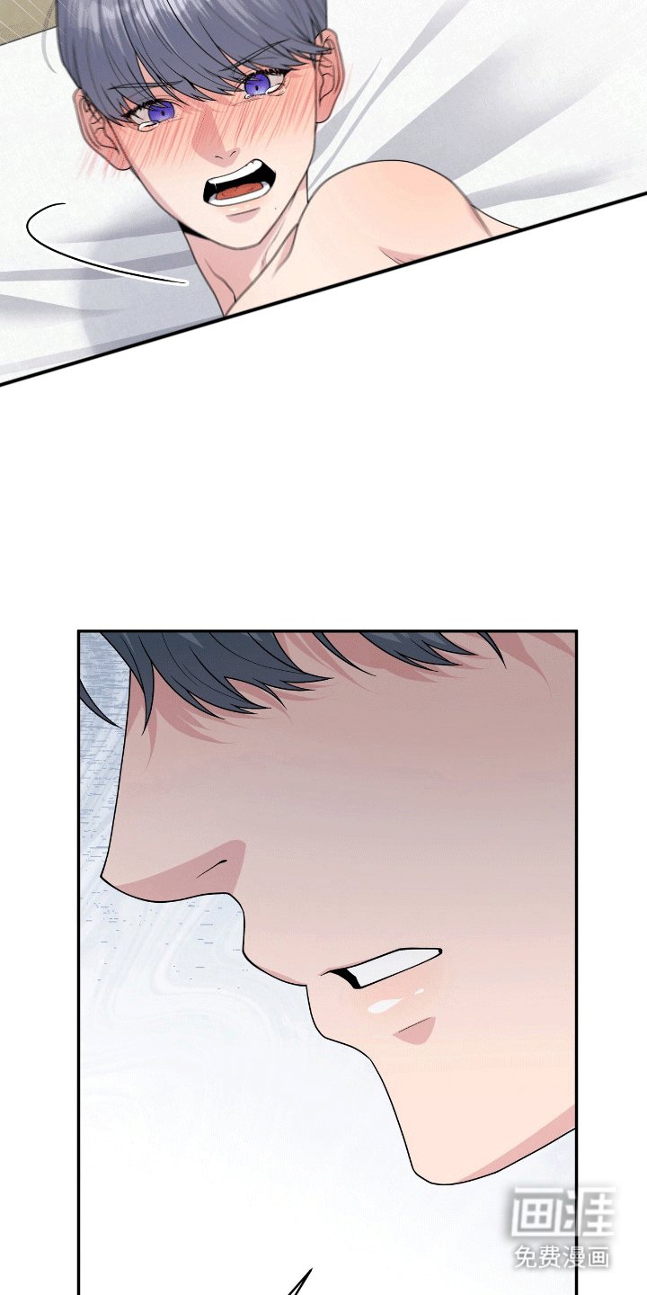 第4章：鲨鱼