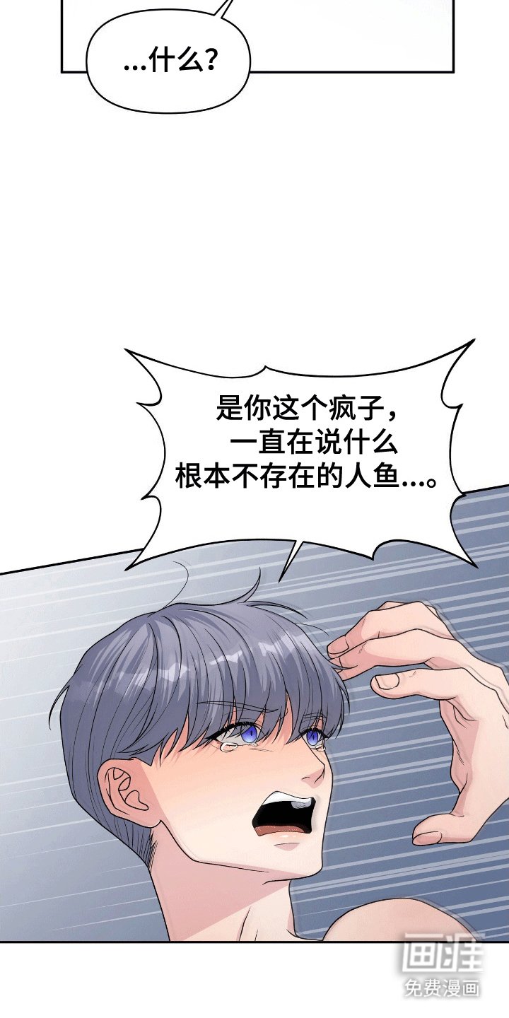第4章：鲨鱼