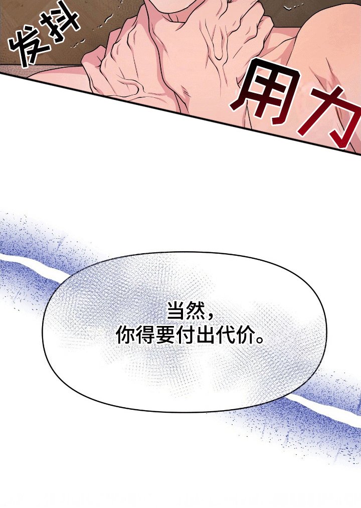 第4章：鲨鱼