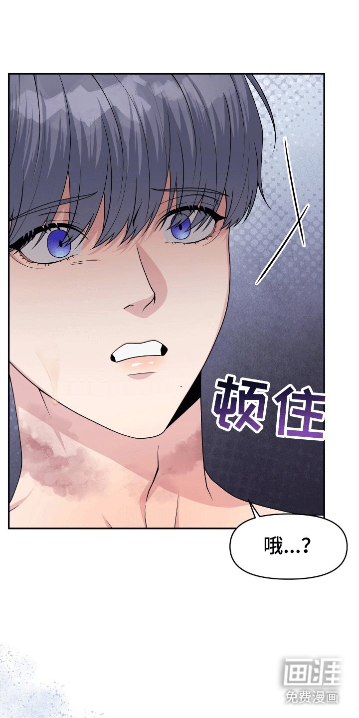 第4章：鲨鱼