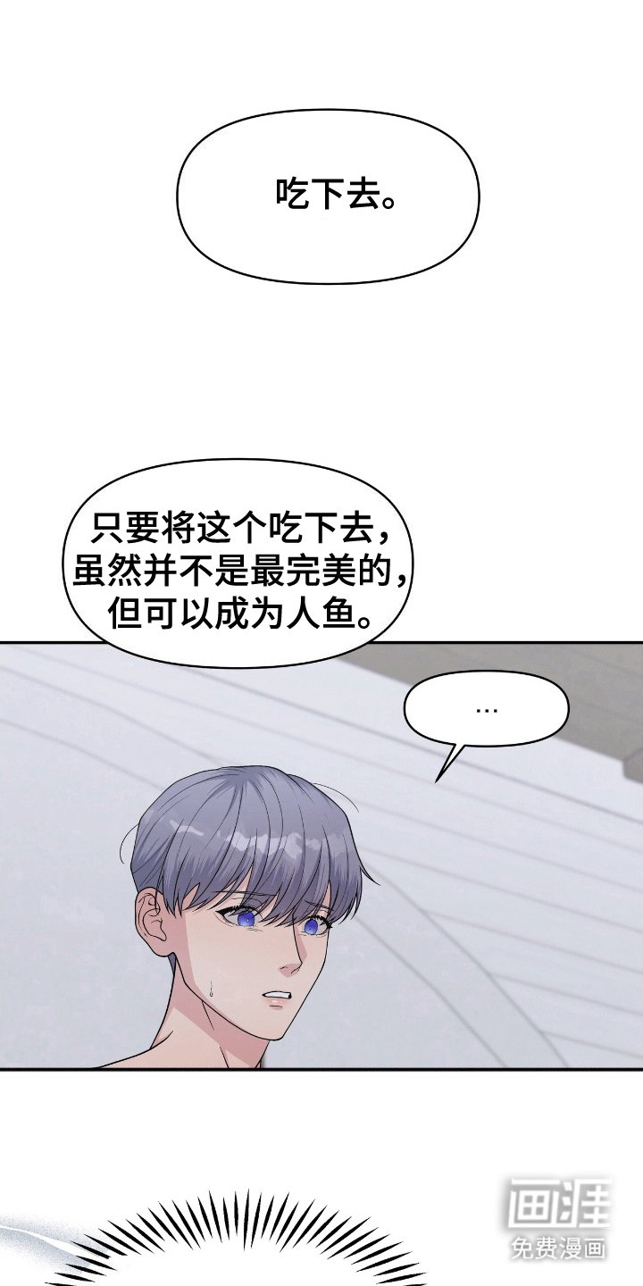 第7章：成为人鱼（完结）