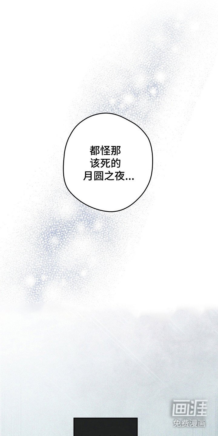 第1章：月圆之夜