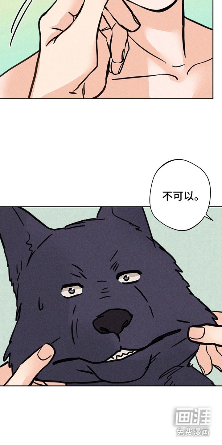 第10章：JS动物医院