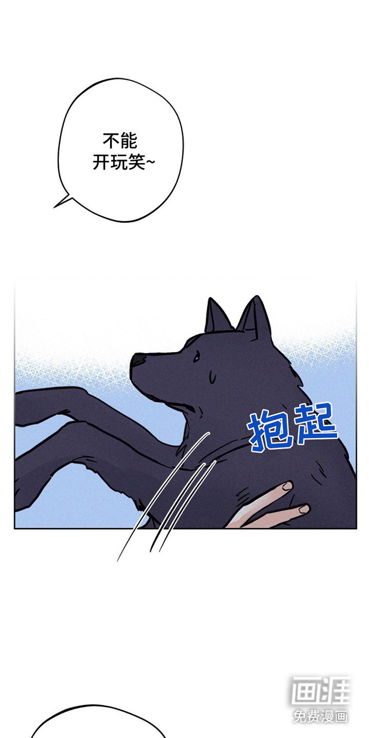 第10章：JS动物医院
