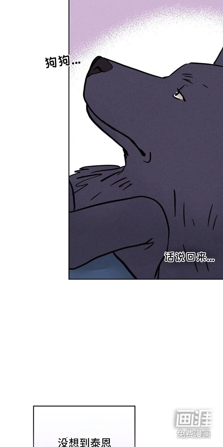第10章：JS动物医院