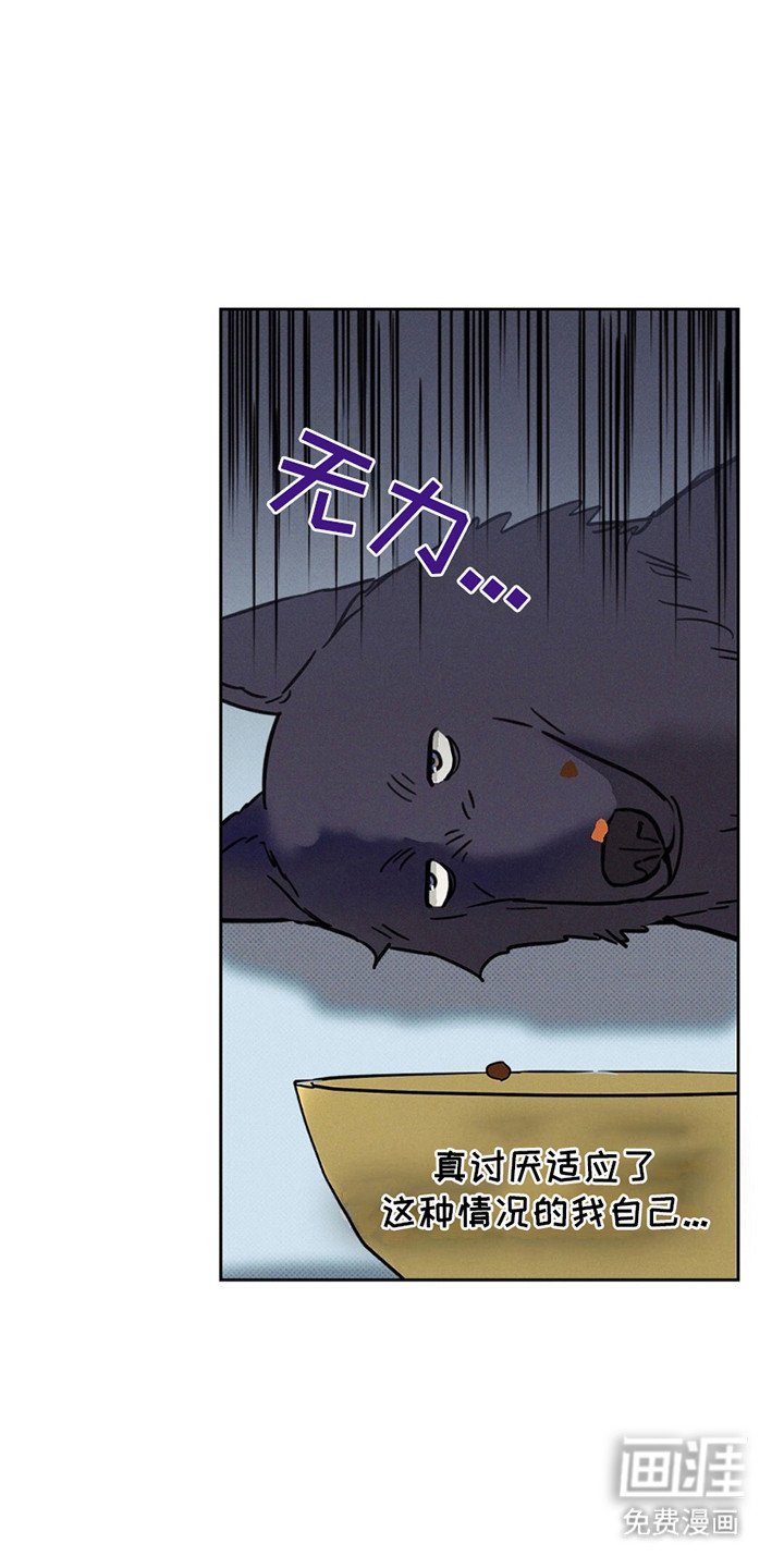 第10章：JS动物医院