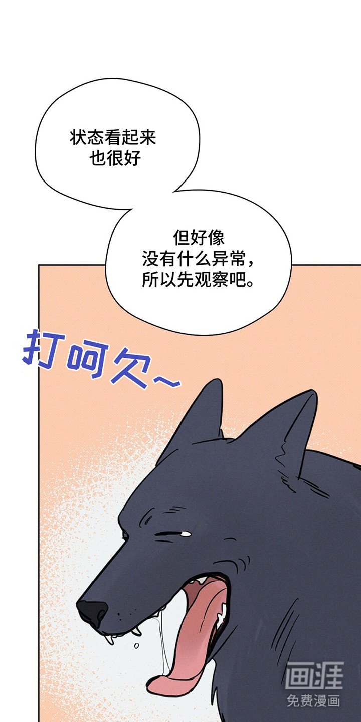 第13章：只想和他在一起