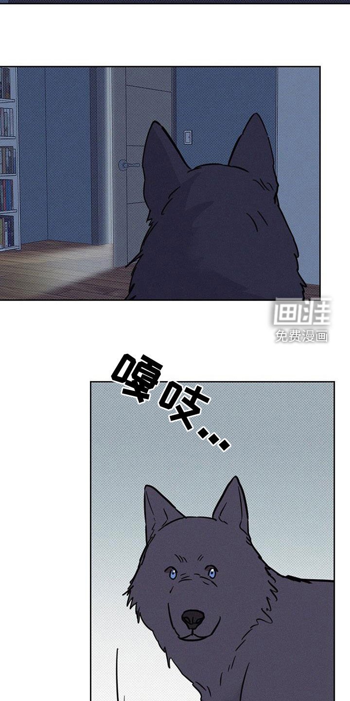 第16章：不速之客