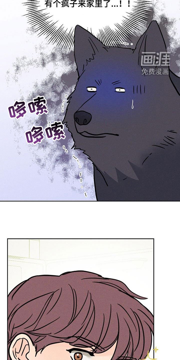 第17章：到底是什么关系
