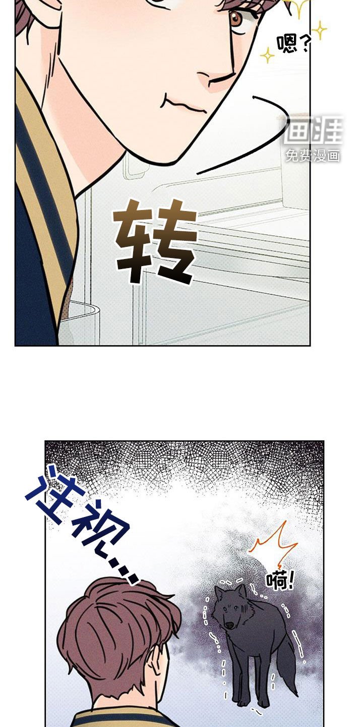 第17章：到底是什么关系