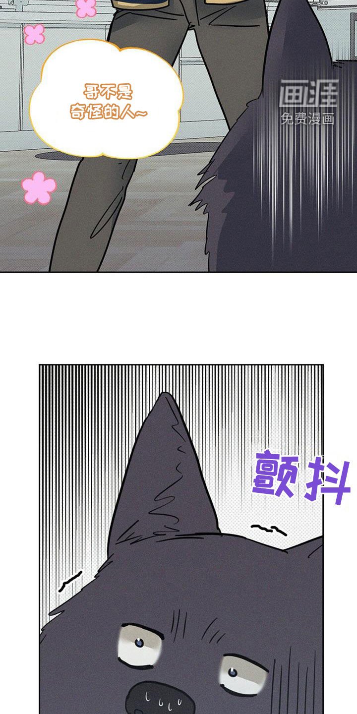 第17章：到底是什么关系