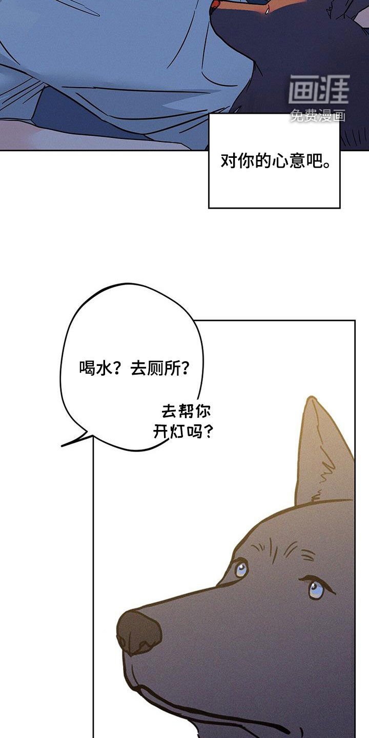 第20章：太残忍了