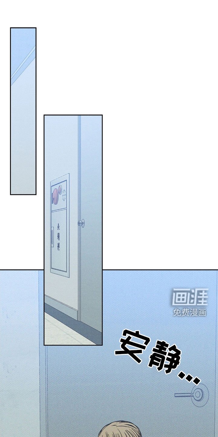 第29章：我该怎么做