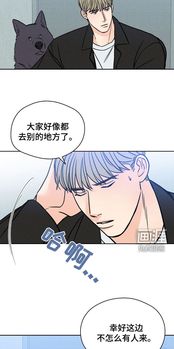 第29章：我该怎么做