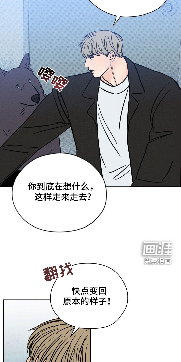 第29章：我该怎么做