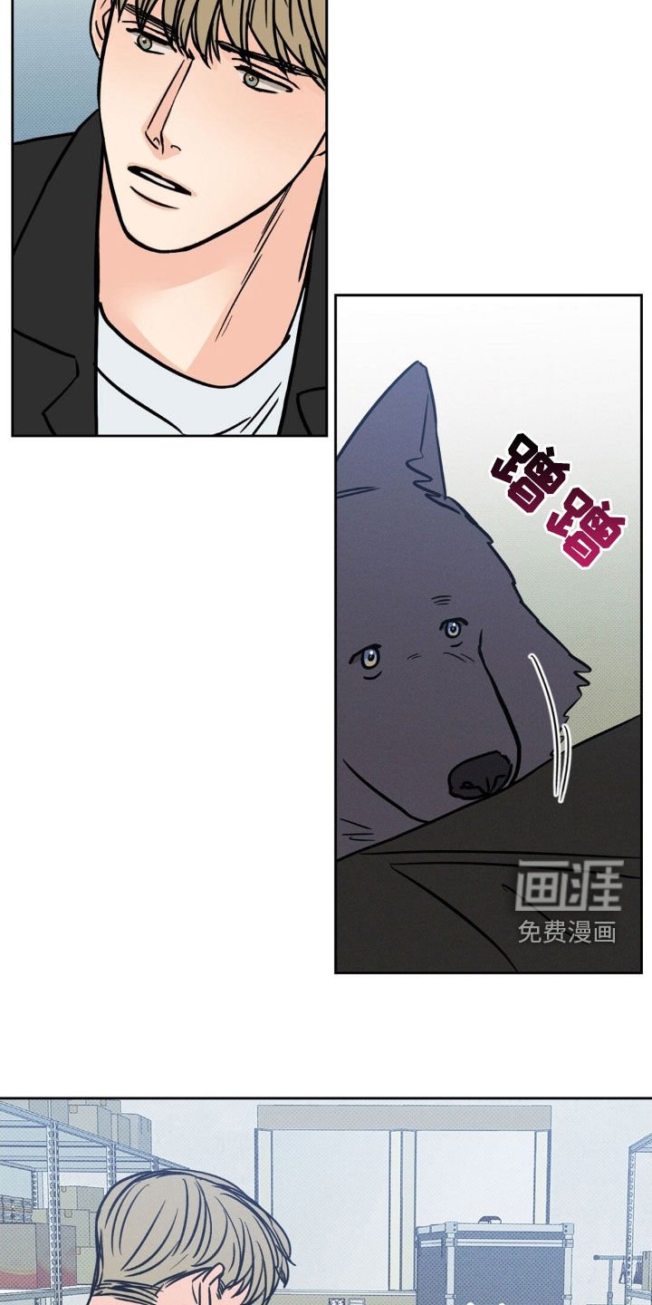 第29章：我该怎么做