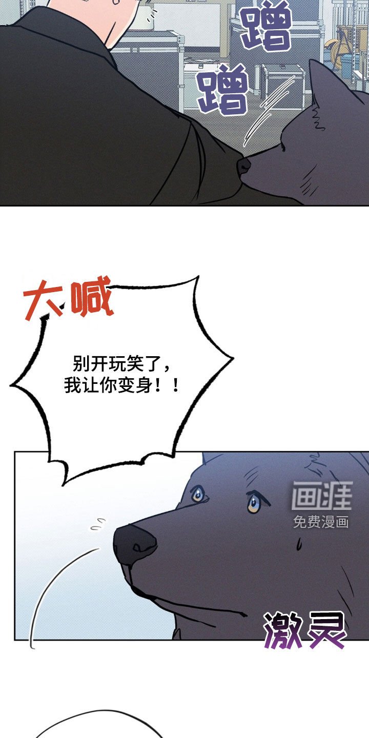 第29章：我该怎么做