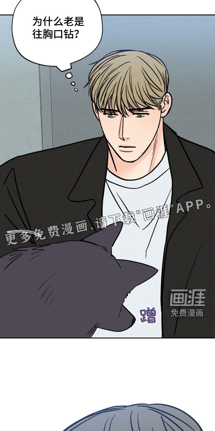 第29章：我该怎么做