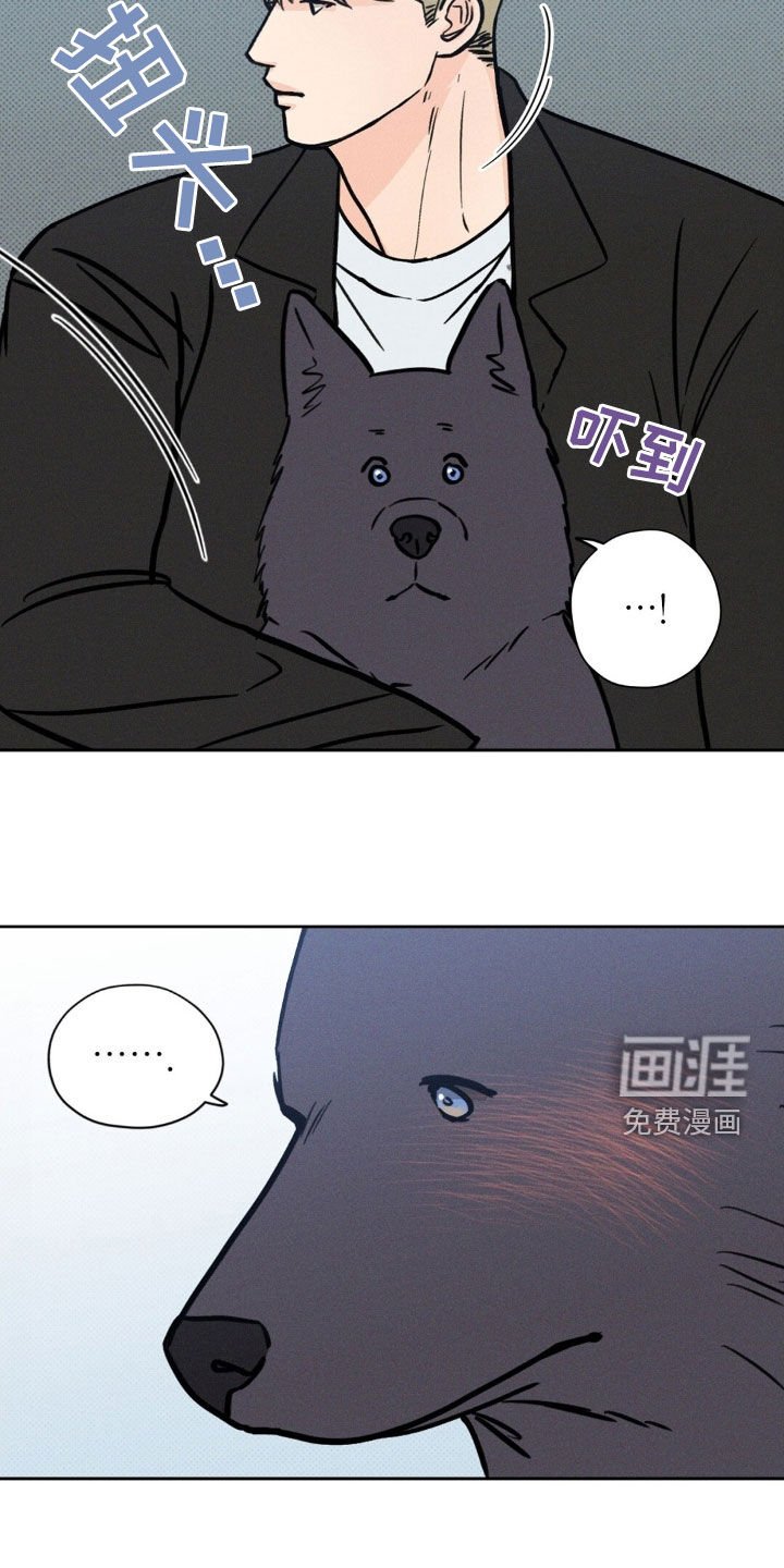 第29章：我该怎么做