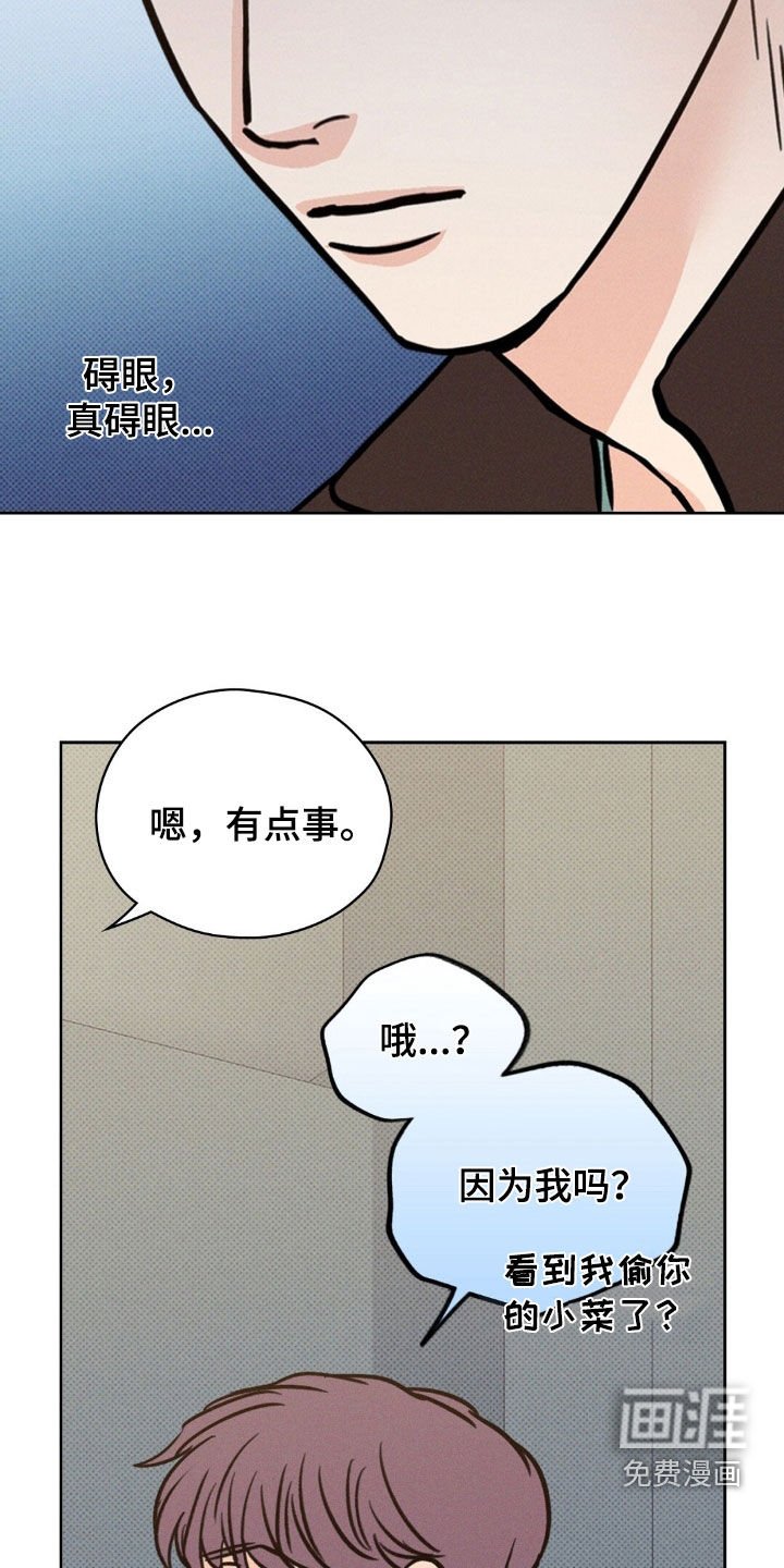 第31章：要聊什么