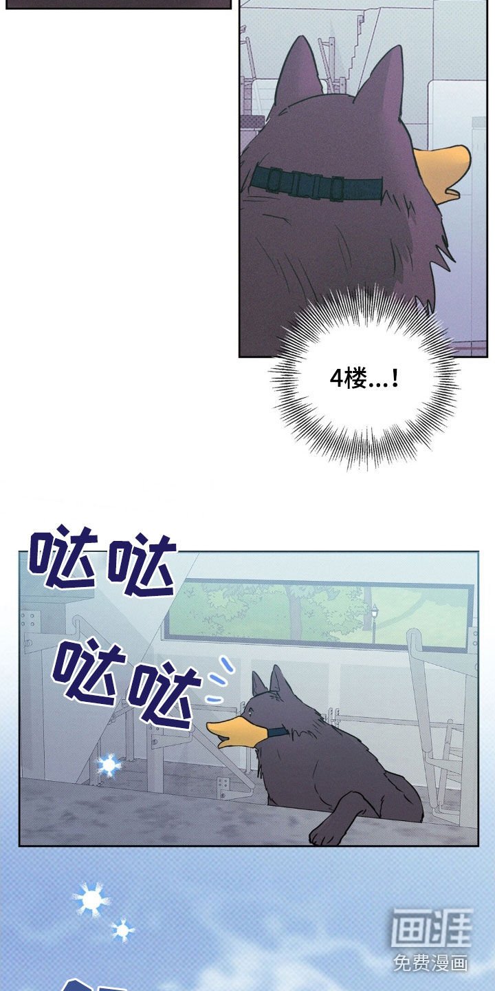 第47章：找了你好久