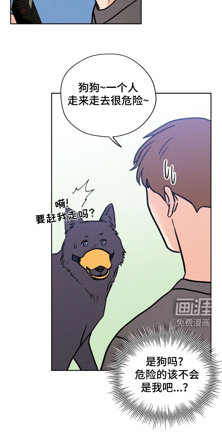 第47章：找了你好久