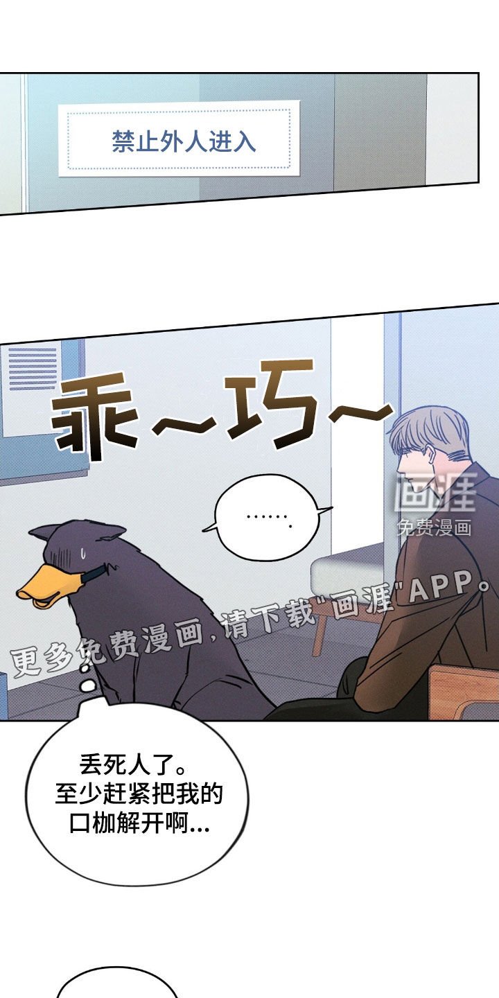 第48章：袒露心扉