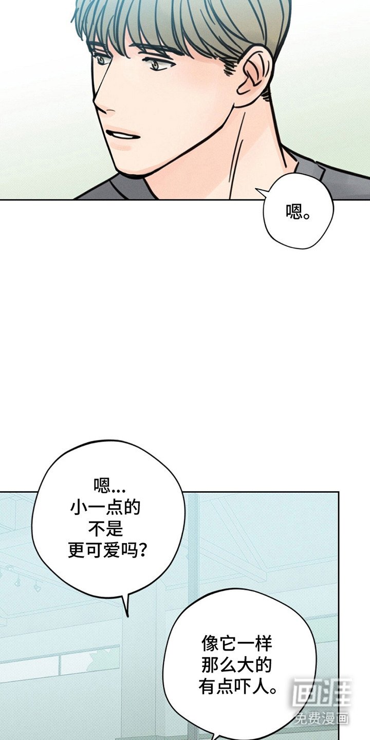 第8章：宝宝？