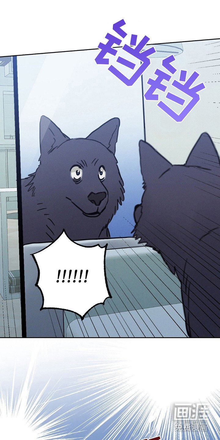 第8章：宝宝？