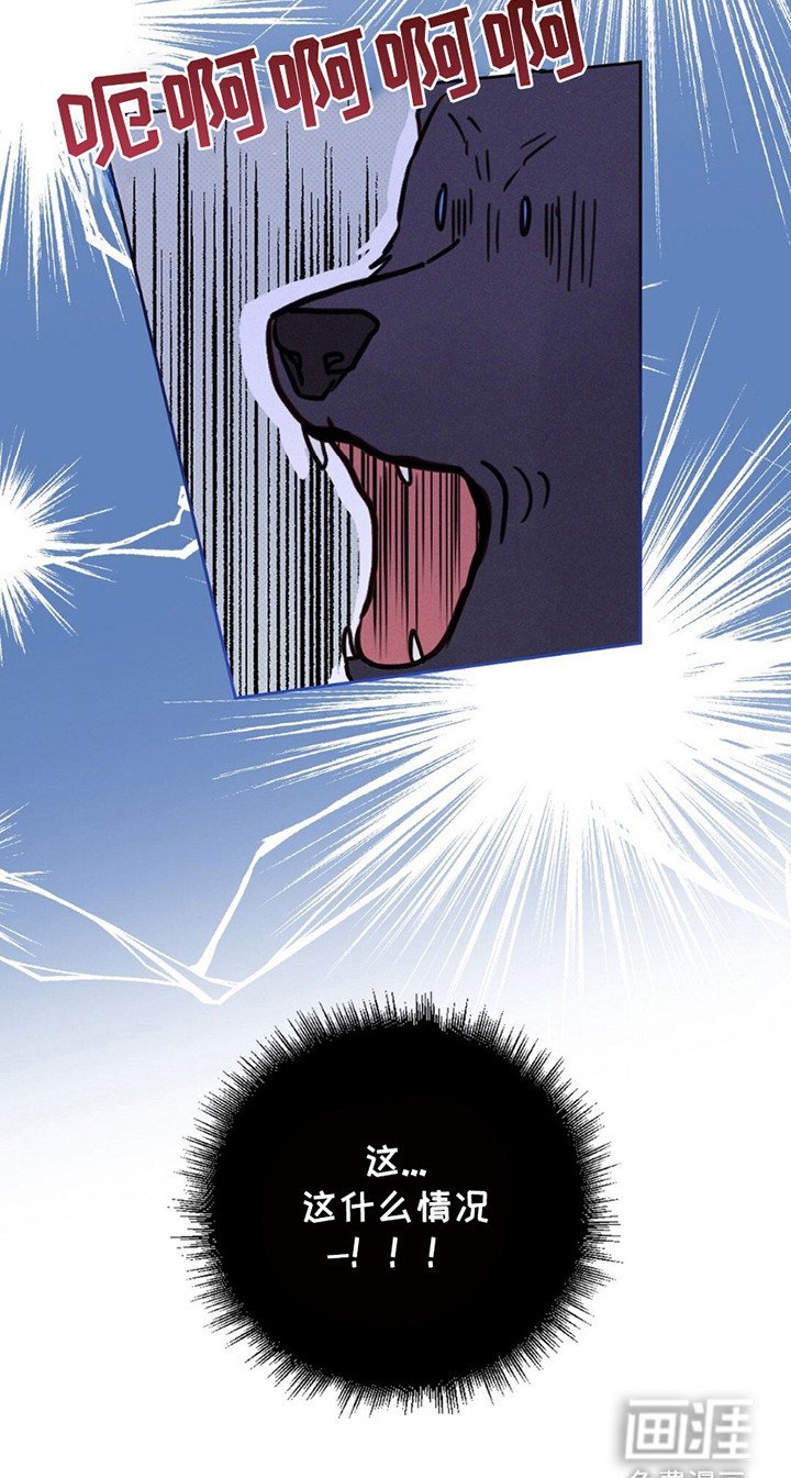 第8章：宝宝？