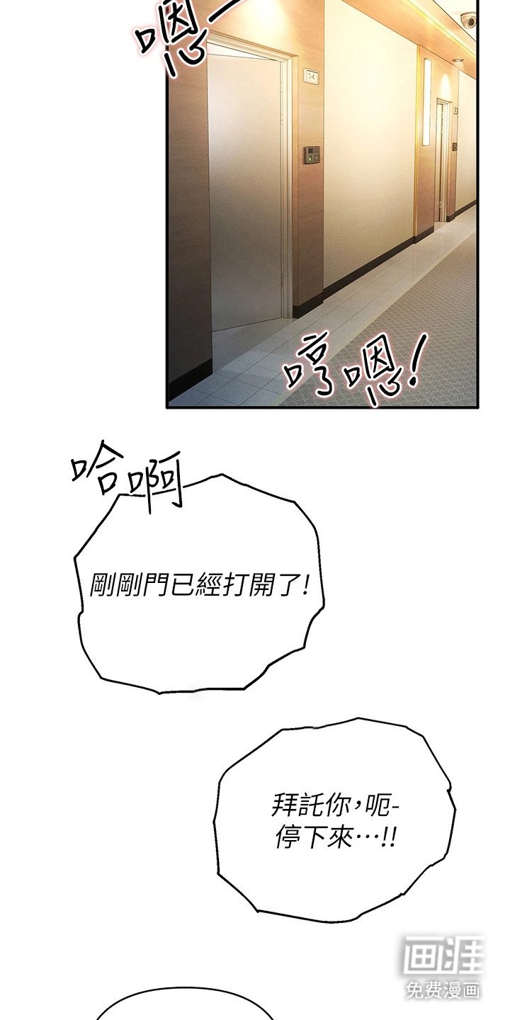 第27章：胶囊