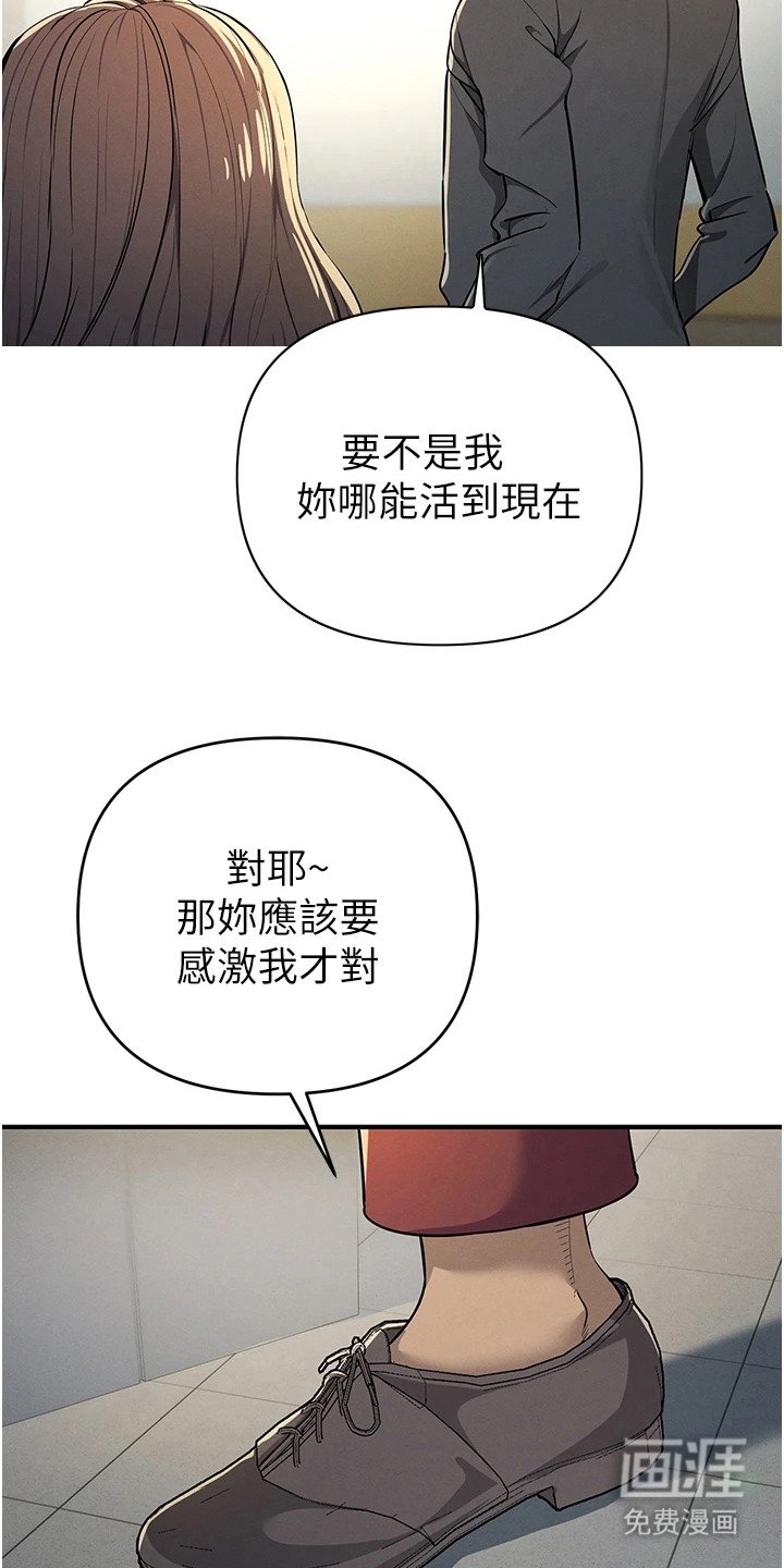 第27章：胶囊