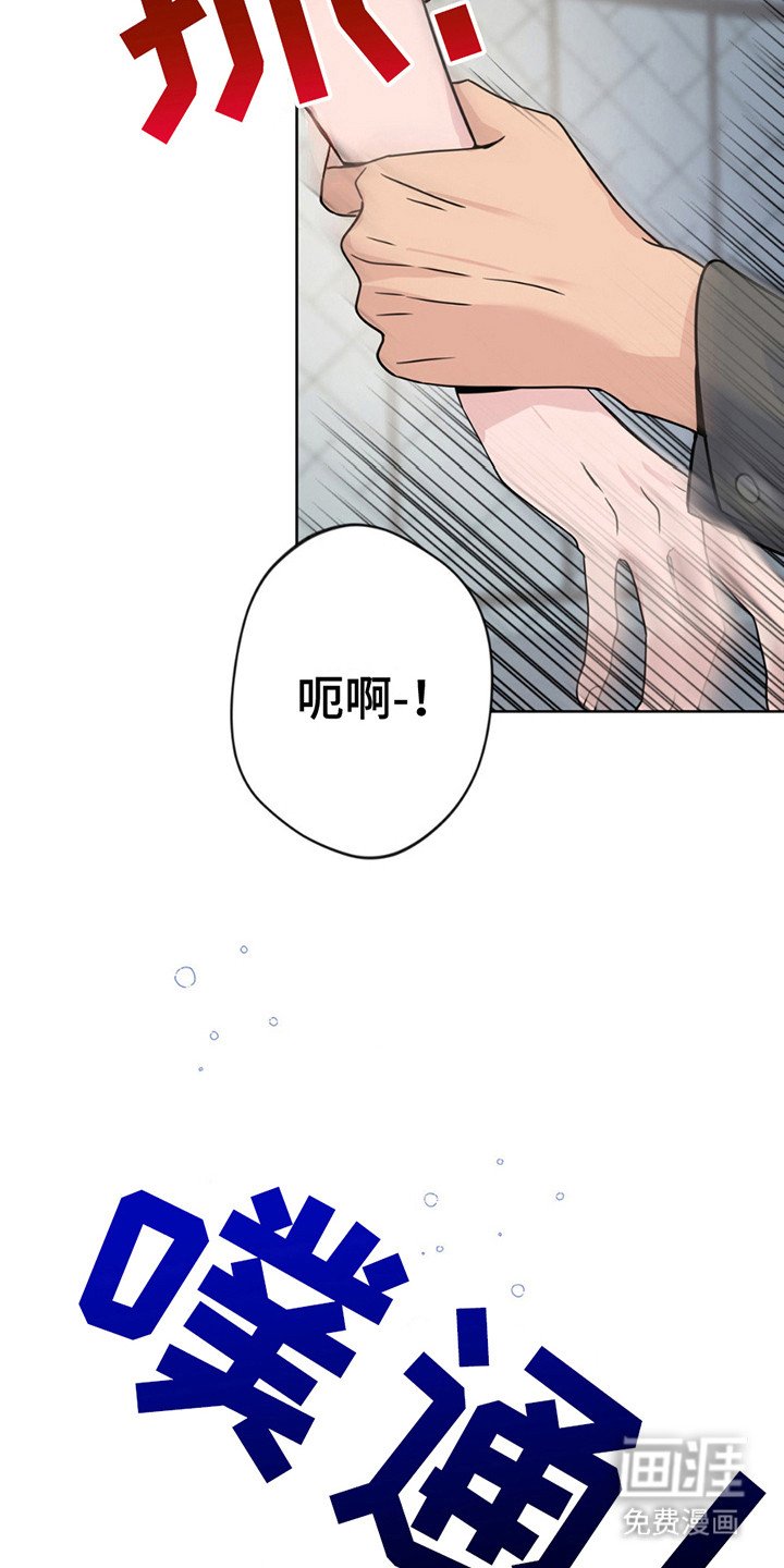 第11章：带回家