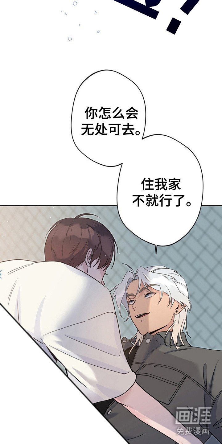 第11章：带回家