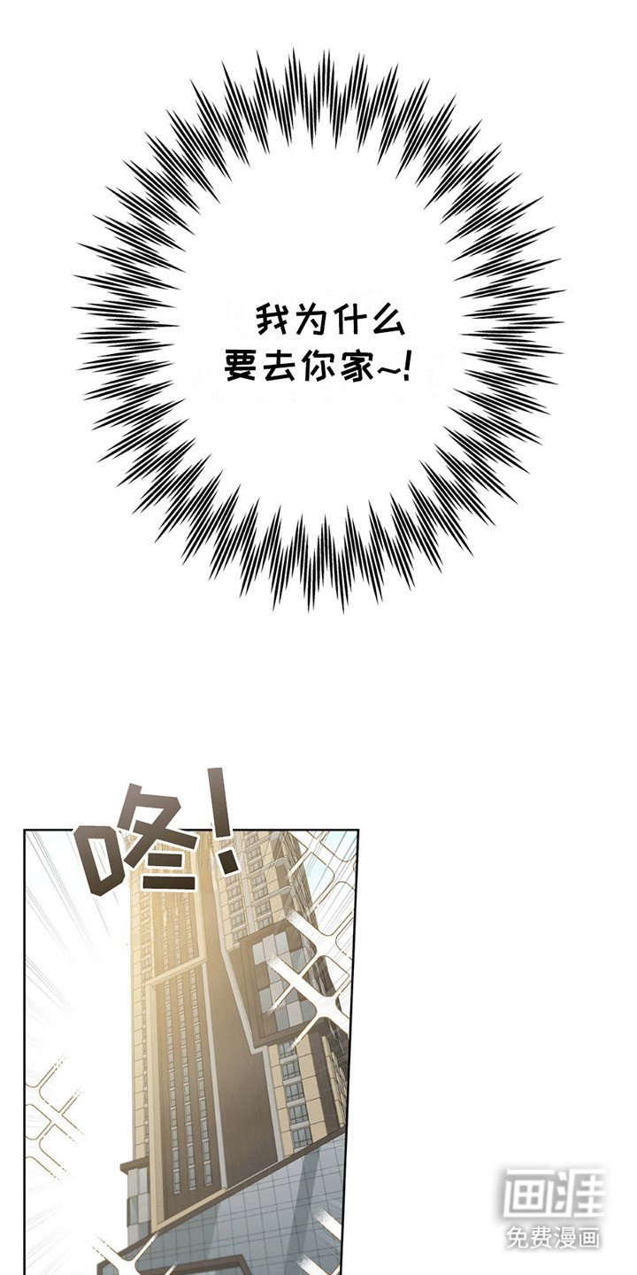 第11章：带回家