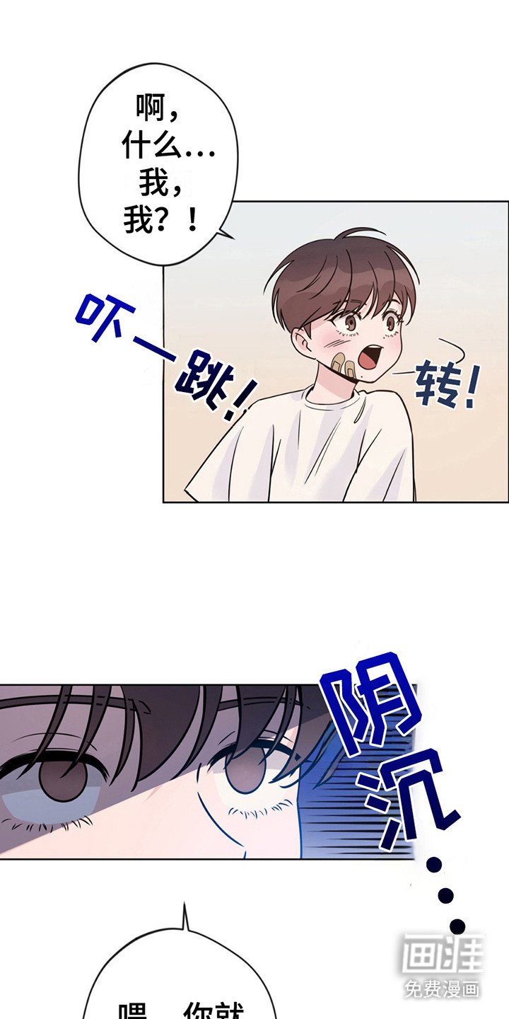 第11章：带回家