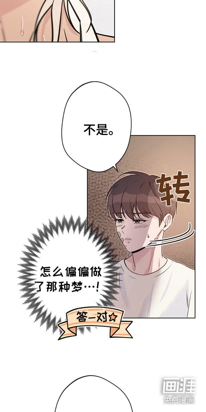第11章：带回家