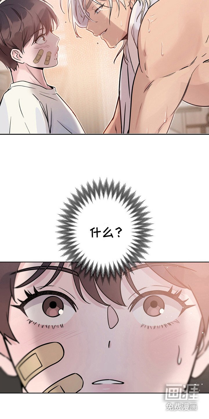 第11章：带回家