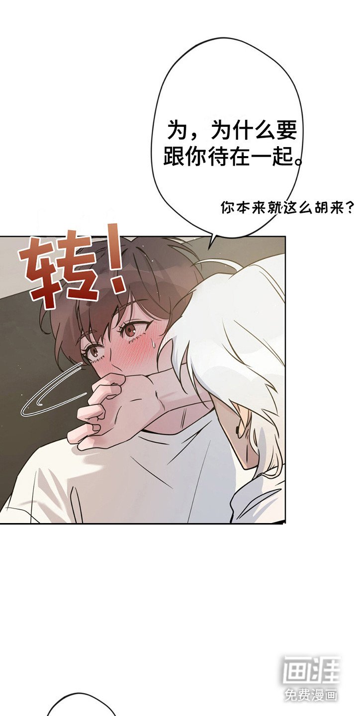 第11章：带回家