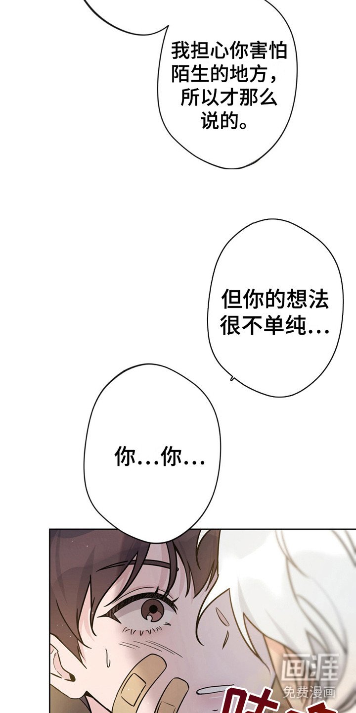 第11章：带回家